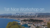1st Nice Workshop on Interpretability