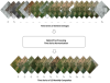 Harmonization of pre-processed Time Series of Sentinel-2 data.