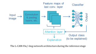 The L-CAM-Fm/-Img network architecture during the inference stage