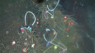 Annotated image from Deep Sea Spy